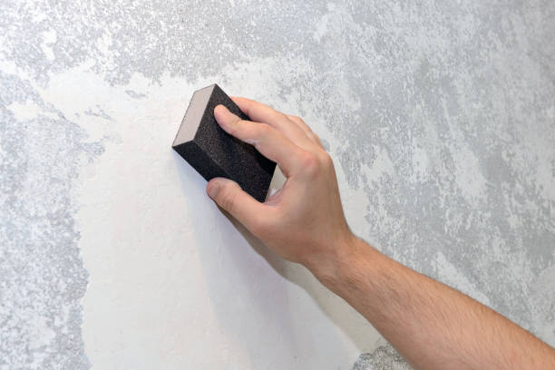 Trusted Huntington Station, NY Mold Removal Experts