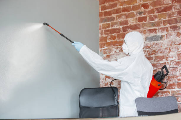 Mold Removal for HVAC Installations in Huntington Station, NY