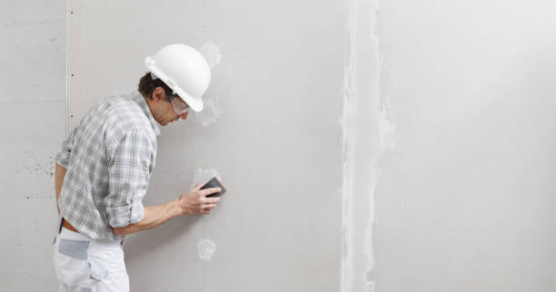 Best Post-Construction Mold Inspection  in Huntington Station, NY