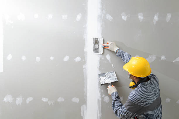 Best Black Mold Removal  in Huntington Station, NY