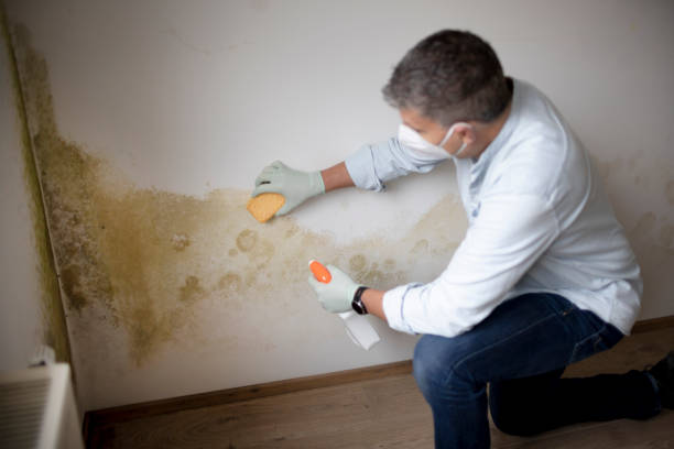 Best Air Quality Testing for Mold Spores  in Huntington Station, NY